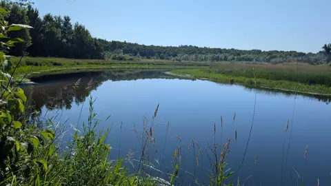 tbd Cemetery Rd, Orr, MN 55771