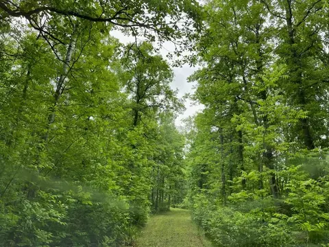 tbd Cemetery Rd, Orr, MN 55771 photo 3