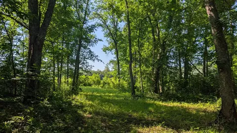 tbd Cemetery Rd, Orr, MN 55771 photo 13