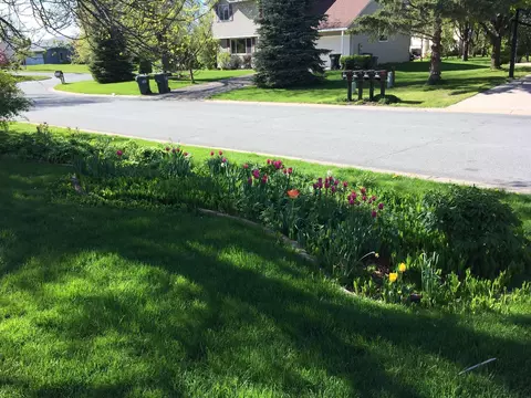Other - 1830 Walnut Ln, Eagan, MN 55122 photo 5 of 7