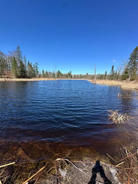 tbd Ct 307, Blackduck, MN 56630