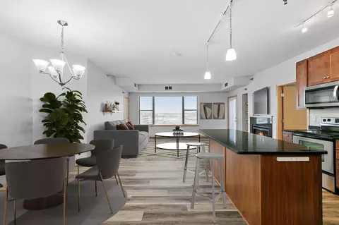 1155 Ford Rd #512, Saint Louis Park, MN 55426