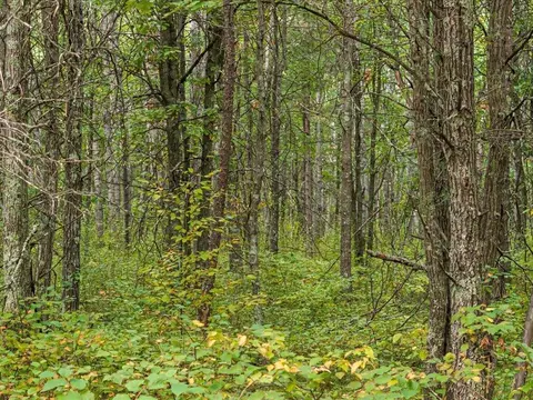 lot C Sandbar Ln, Merrifield, MN 56465