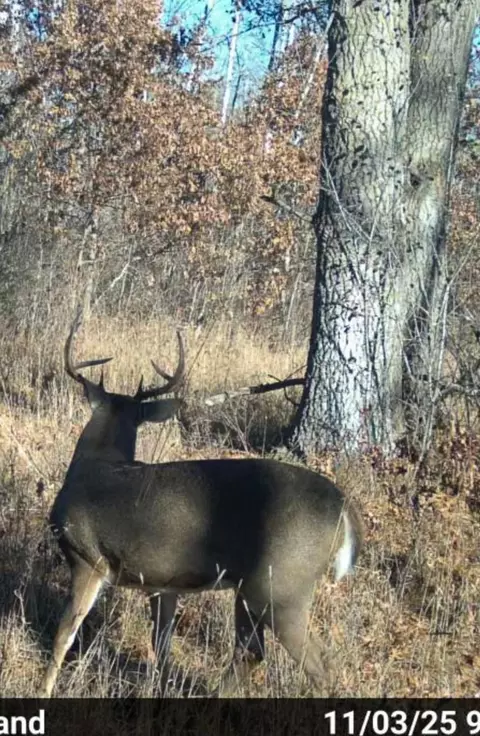 tbd 32nd Ave SW, Backus, MN 56435 photo 25