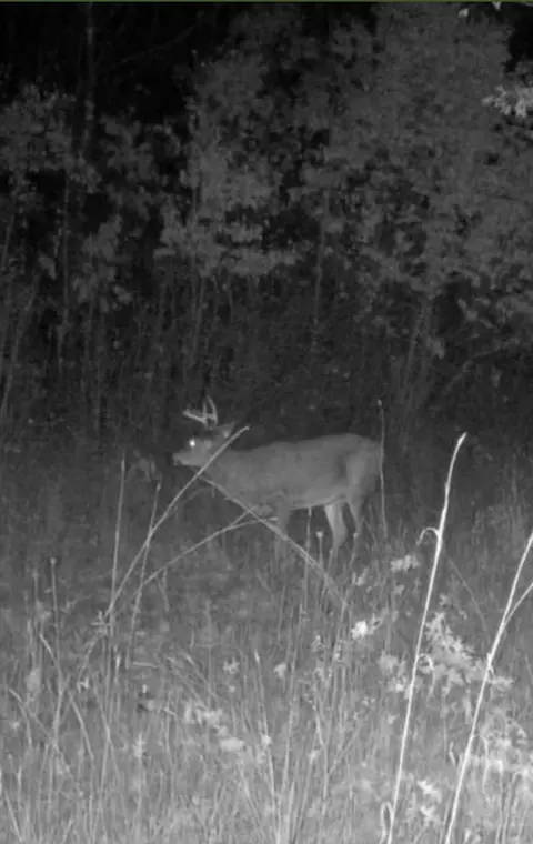 tbd 32nd Ave SW, Backus, MN 56435 photo 26
