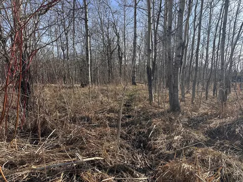 tbd Norwegian Rd, Vining, MN 56588 photo 38