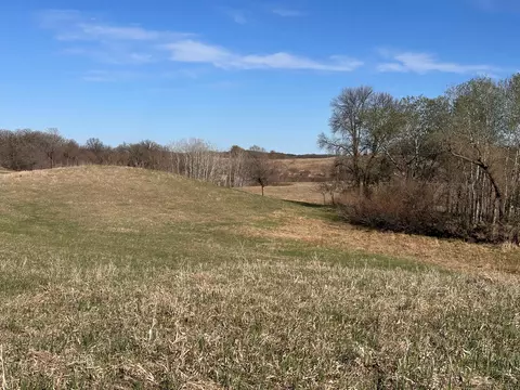tbd Norwegian Rd, Vining, MN 56588 photo 25