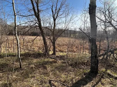 tbd Norwegian Rd, Vining, MN 56588 photo 33