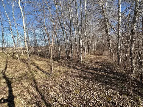 tbd Norwegian Rd, Vining, MN 56588 photo 34