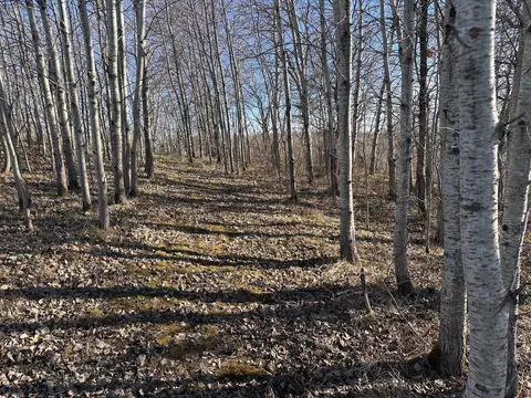 tbd Norwegian Rd, Vining, MN 56588 photo 31
