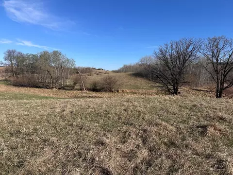 tbd Norwegian Rd, Vining, MN 56588 photo 24