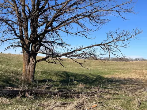 tbd Norwegian Rd, Vining, MN 56588 photo 30