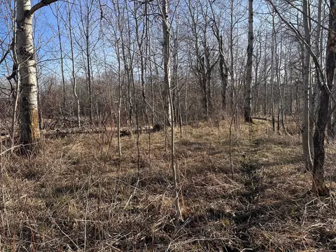 tbd Norwegian Rd, Vining, MN 56588 photo 39