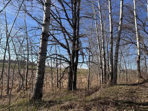tbd Norwegian Rd, Vining, MN 56588 photo 40