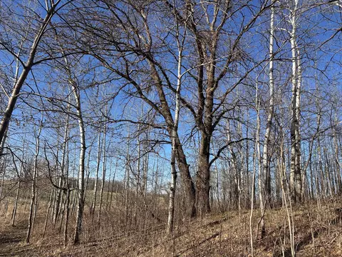 tbd Norwegian Rd, Vining, MN 56588 photo 41