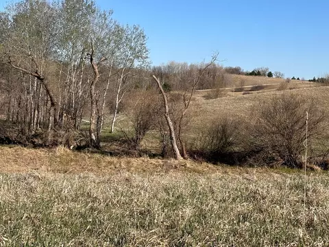 tbd Norwegian Rd, Vining, MN 56588 photo 27