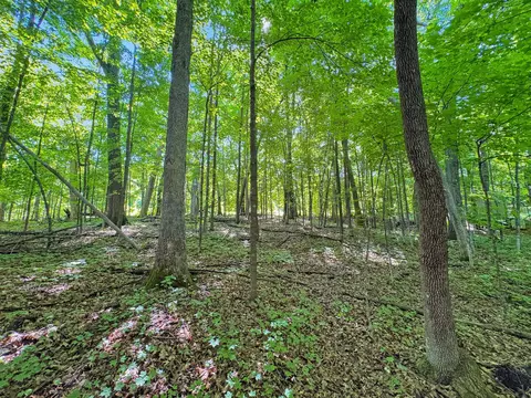 tbd 85th St, Frederic, WI 54837 photo 10