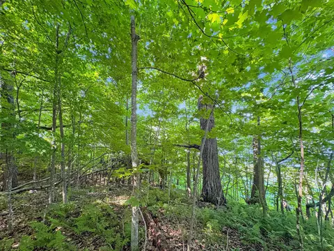 tbd 85th St, Frederic, WI 54837 photo 7