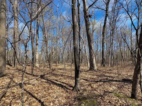 tbd 85th St, Frederic, WI 54837 photo 6