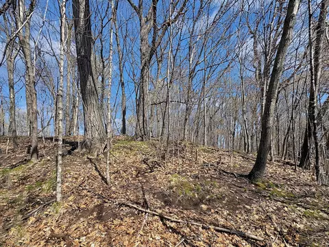 tbd 85th St, Frederic, WI 54837 photo 9