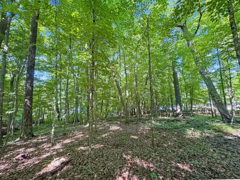 tbd 85th St, Frederic, WI 54837 photo 8