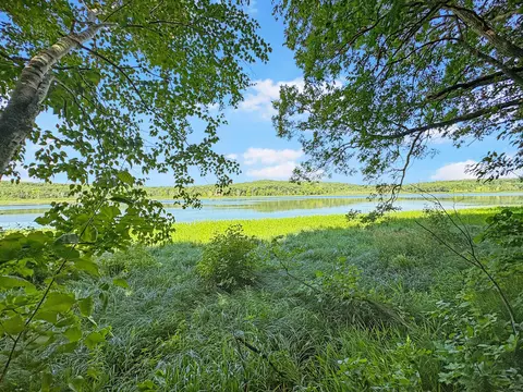 tbd 85th St, Frederic, WI 54837 photo 2