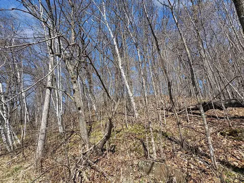tbd 85th St, Frederic, WI 54837 photo 5