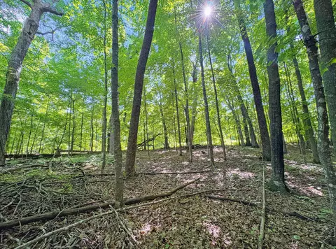 tbd 85th St, Frederic, WI 54837 photo 11
