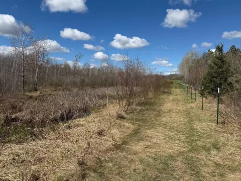 tbd County Road 144, Brainerd, MN 56401 photo 18