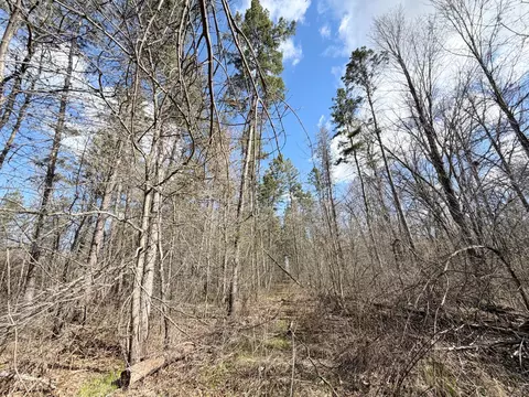 tbd County Road 144, Brainerd, MN 56401 photo 44