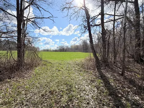 tbd County Road 144, Brainerd, MN 56401 photo 2