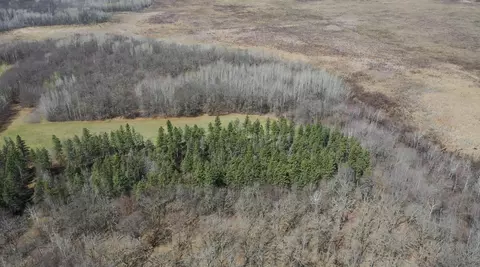 tbd County Road 144, Brainerd, MN 56401 photo 11