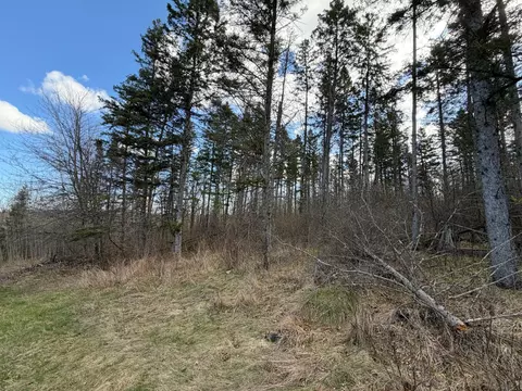 tbd County Road 144, Brainerd, MN 56401 photo 49