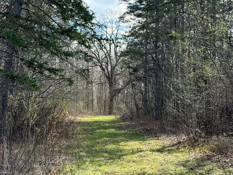 tbd County Road 144, Brainerd, MN 56401 photo 13