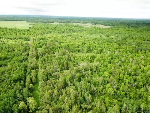 tbd Cormorant Rd NE, Kelliher, MN 56650