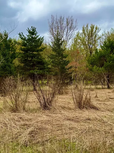 10817 Grand Lake Rd, Cold Spring, MN 56320 photo 4