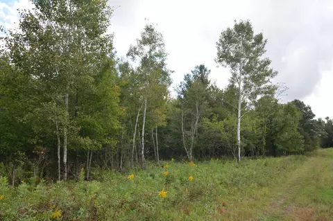 tbd 130th Ave, Milaca, MN 56353 photo 14