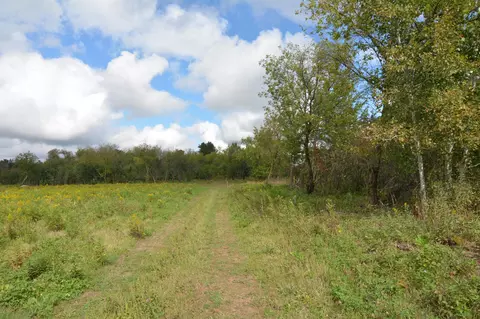 tbd 130th Ave, Milaca, MN 56353 photo 13