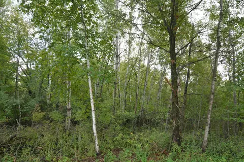 tbd 130th Ave, Milaca, MN 56353 photo 9
