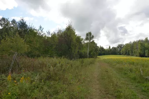 tbd 130th Ave, Milaca, MN 56353 photo 11