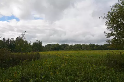tbd 130th Ave, Milaca, MN 56353 photo 10