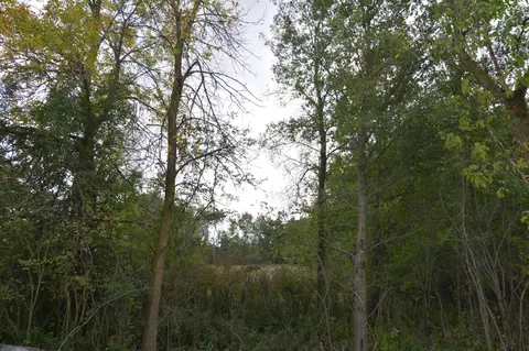 tbd 130th Ave, Milaca, MN 56353 photo 6