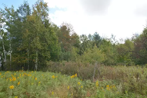 tbd 130th Ave, Milaca, MN 56353 photo 12