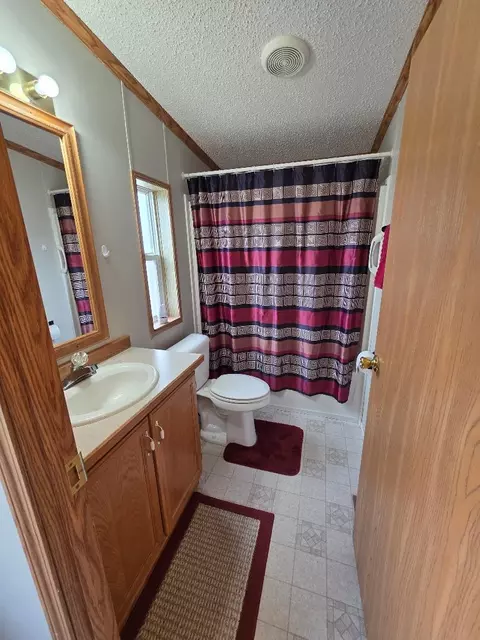 Bath - 908 Trailview St, Bovey, MN 55709 photo 3 of 3