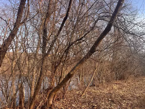 5 Nn River St, Taylors Falls, MN 55084