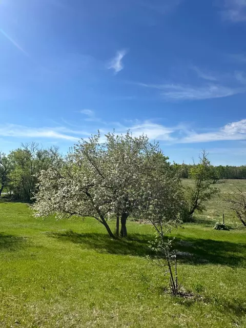 16166 510th Ave, Menahga, MN 56464