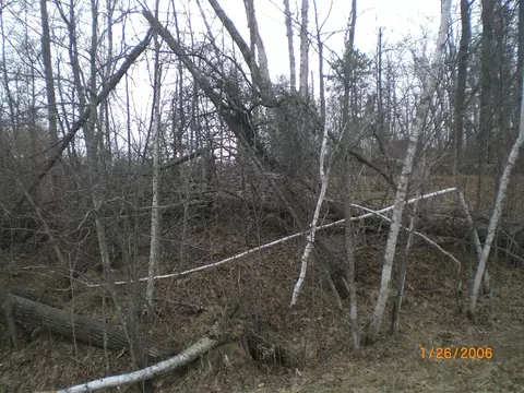 lot18 Terminal Rd, Breezy Point, MN 56472