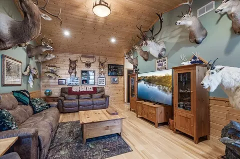 Living - 51425 Long Point Pl, Mcgregor, MN 55760 photo 5 of 6