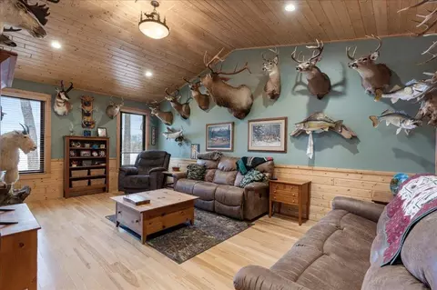 Living - 51425 Long Point Pl, Mcgregor, MN 55760 photo 6 of 6
