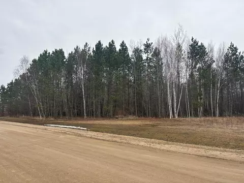 Nnnn Stanton Drive, Baudette, MN 56623